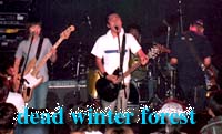 [dead winter forest LIVE]